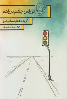 تو را من چشم در راهم
