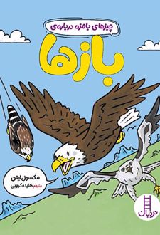 چیزهای بامزه درباره بازها
