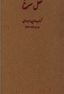 عقل سرخ