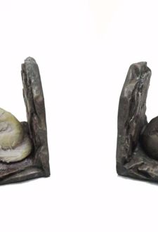 غش گیر کتاب طرح گرگ