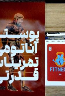 پوستر آناتومی تمرینات قدرتی