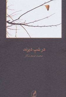 در شب دیرند