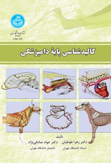 کالبدشناسی پایه دامپزشکی