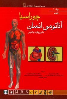 آناتومی انسان چوراسیا