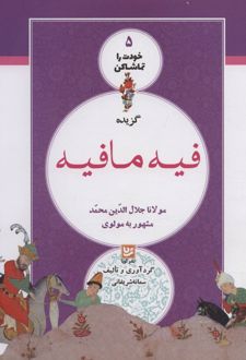 گزیده فیه مافیه