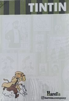 کاغذ‌یادداشت تن‌تن سایز A6 (هارنا) سبز