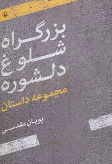 کتاب بزرگراه شلوغ دلشوره