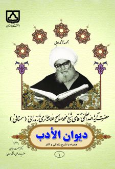 کتاب دیوان الادب