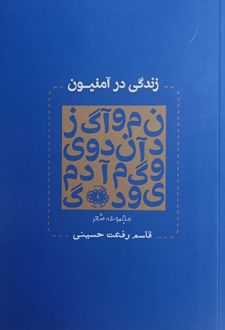 زندگی در آمنیون