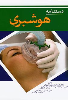 دستنامه هوشبری