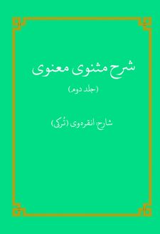 کتاب شرح مثنوی معنوی (جلد دوم)