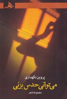 می توانی حدس بزنی