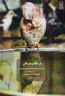 در مکتب مرغان