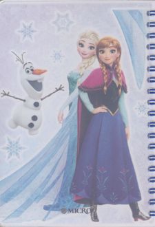 دفتر یادداشت 80 برگ 1/8 سیمی خطی میکرو (فروزن)