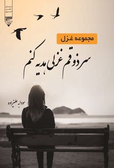 کتاب سر ذوقم غزلی هدیه کنم
