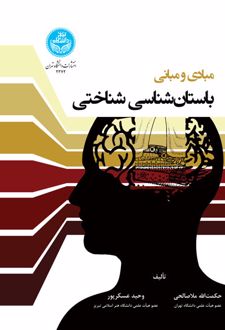 مبادی و مبانی باستان‌ شناسی شناختی