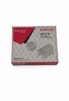 سوزن منگنه نقره‌ای (کانکس)