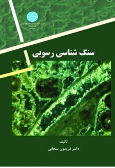 سنگ شناسی رسوبی