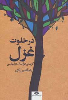 در خلوت غزل