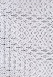 دفتر کلاسوری 20 حلقه 100 برگ قفل فلز برگ سری راندو (سفید)