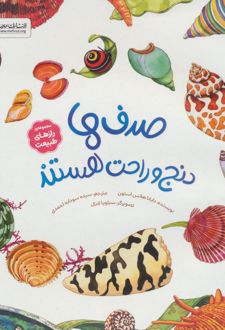 صدف‌ها دنج و راحت هستند
