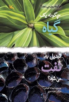 چگونه یک گیاه تبدیل به نفت می شود؟