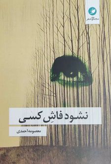 نشود فاش کسی