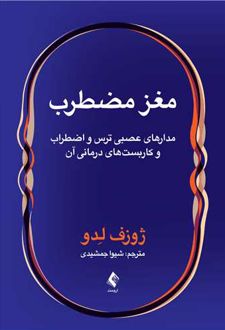 مغز مضطرب