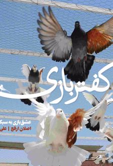 کفتربازی