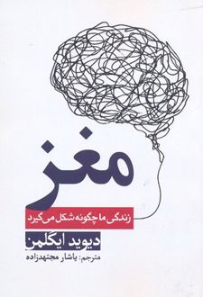 مغز
