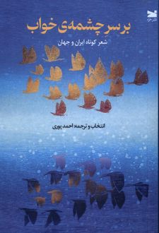 بر سر چشمه‌ی خواب