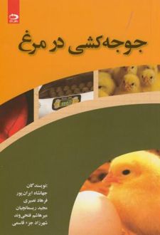 جوجه کشی در مرغ