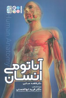 آناتومی انسان
