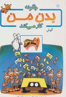 چگونه بدن من کار می کند 12