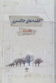 خلسه های خاکستری