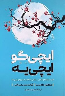 ایچی گو ایچی