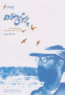 پرستوی دهلاویه