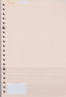 یدک دفتر کلاسوری 20 حلقه 2 خط برگ سری کیوت پالت (نارنجی)