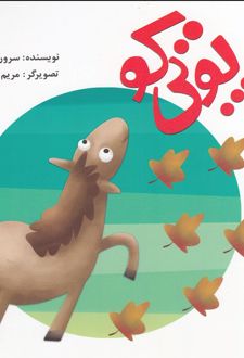 پوتی کو