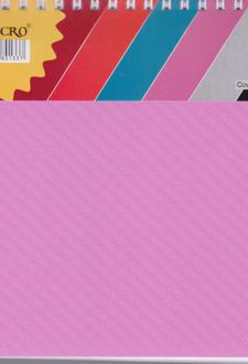 دفتریادداشت 100 برگ سیمی 16*17 جلد طلقی میکرو (صورتی)