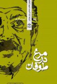 کتاب مرغ در طوفان