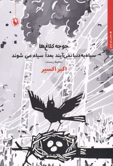 جوجه کلاغ ها