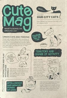 دفتر یادداشت جلد‌کرافت وزیری سری کیوت‌مگ (پیل) سبز