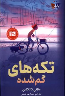 تکه های گم شده