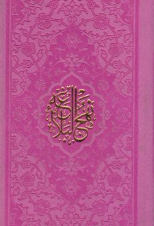 نهج البلاغه (پالتویی)