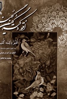 کتاب افتو دکته گلین گلینه