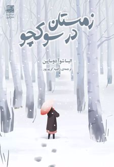 زمستان در سوکچو
