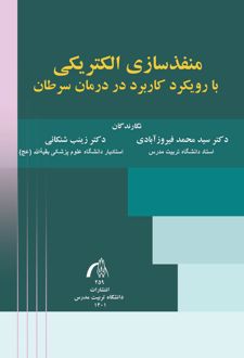 منفذسازی الکتریکی