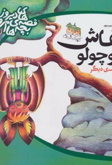 خفاش کوچولو
