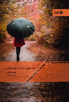 دلم هوای تو کرده در هوای بارانی